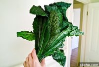 50 Kale Recipes: Delicious Ways to Cook, Salad, and Sauté Kale