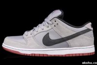Nike SB Dunk Low Pro — Wolf Grey & Light Redwood Shoes