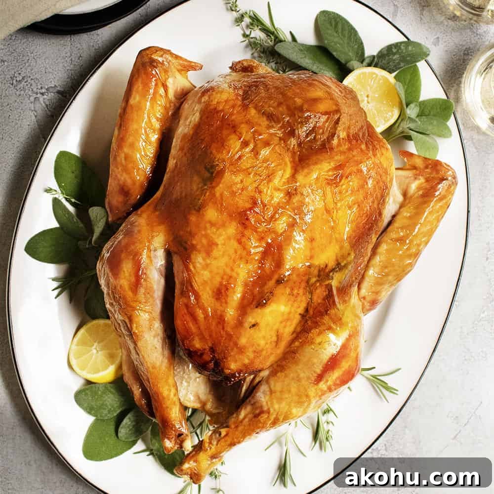 Image for Dry Brine Turkey