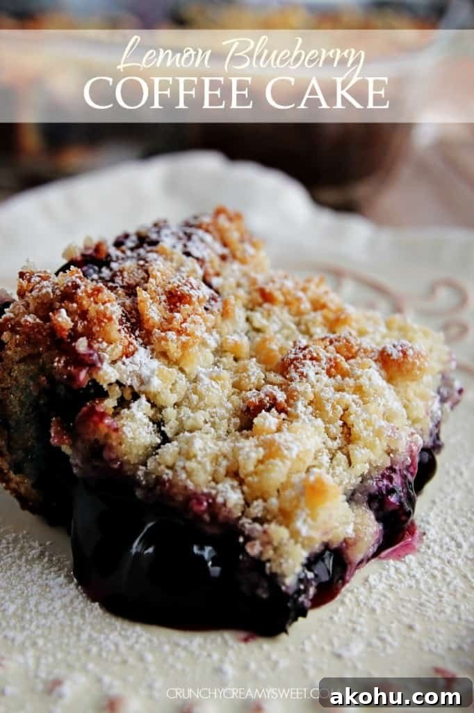 Lemon Blueberry Coffee Cake with a Crumb Topping