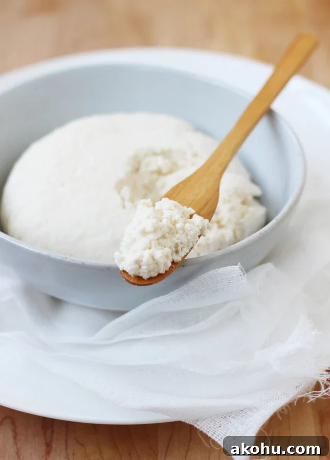 How to Make Homemade Ricotta Cheese: A Detailed, Step-by-Step Recipe