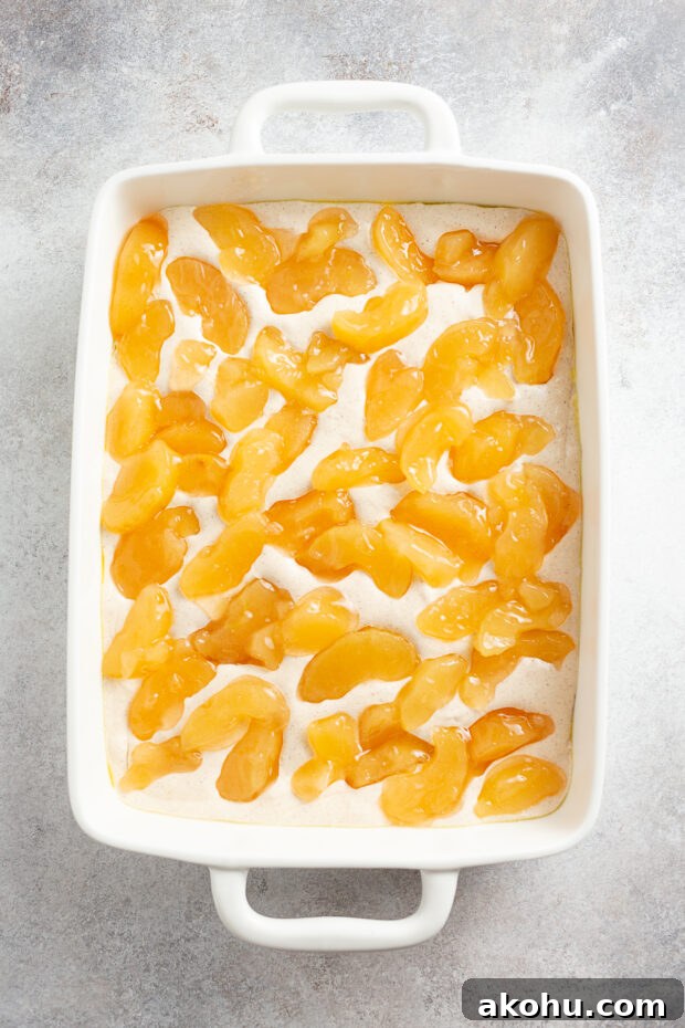 Apple Pie Filling Coffee Cake Recipe — Warm, Spiced Dessert 6 Cake batter topped with apple fruit filling.