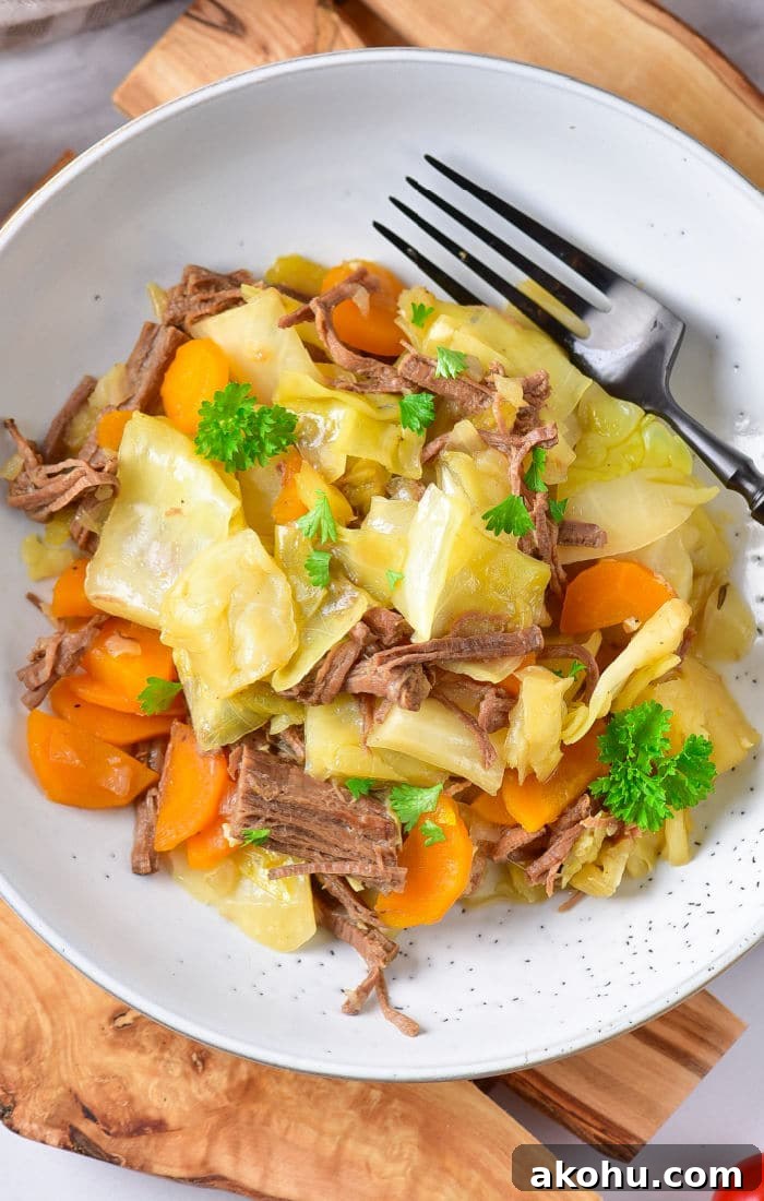 Beef and Cabbage Stir Fry