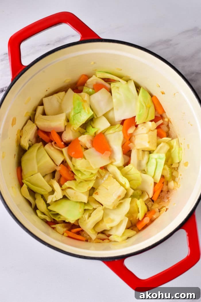 Cabbage and Carrots