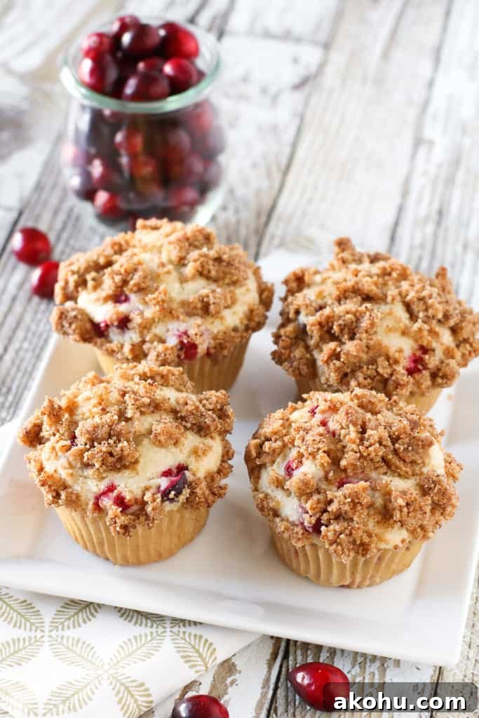cranberry coffee cake muffins