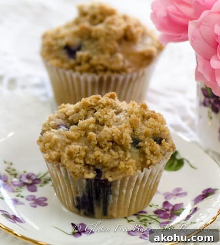 two gluten-free vegan blueberry muffins