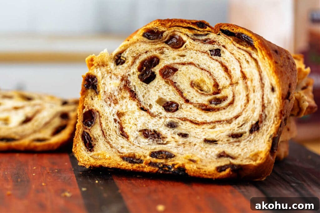 Why Cinnamon Swirl Bread Splits During Baking — How to Prevent It 4 A close-up of a slice of raisin bread showing a gorgeous swirl of cinnamon sugar spiraling around several times.