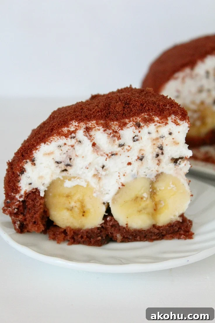 Banana Whipped Cream Dome Cake Recipe for Stunning Desserts 2 Dome Cake Recipe