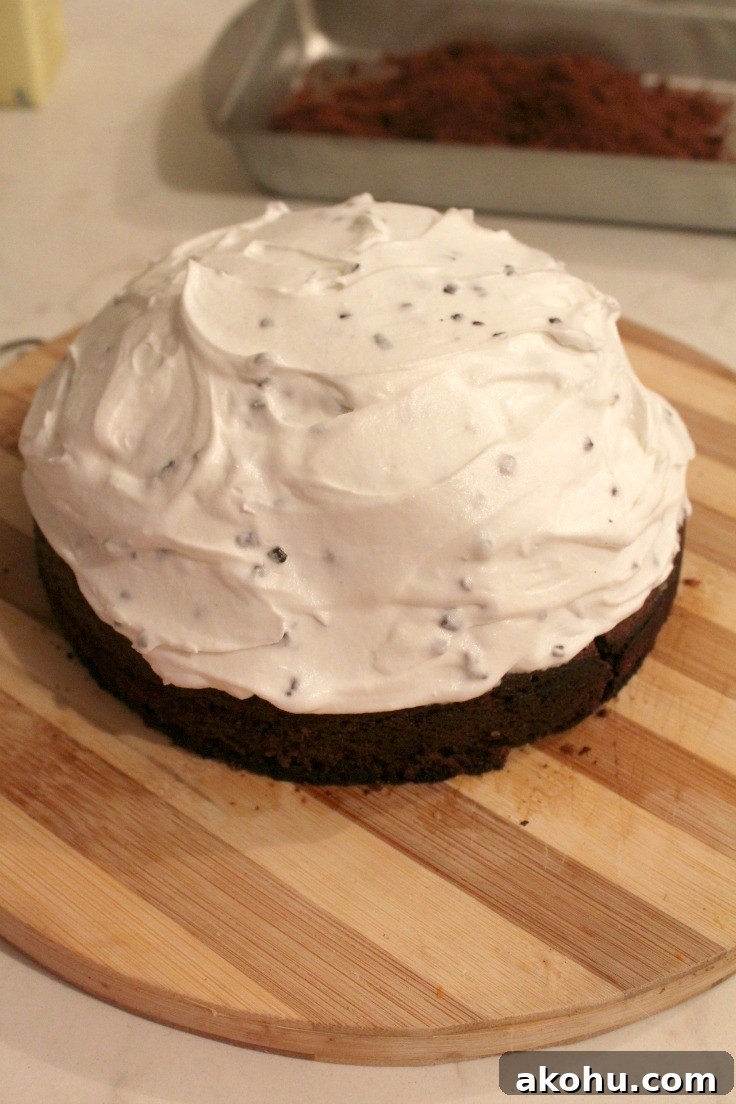 Banana Whipped Cream Dome Cake Recipe for Stunning Desserts 12 IMG_6226
