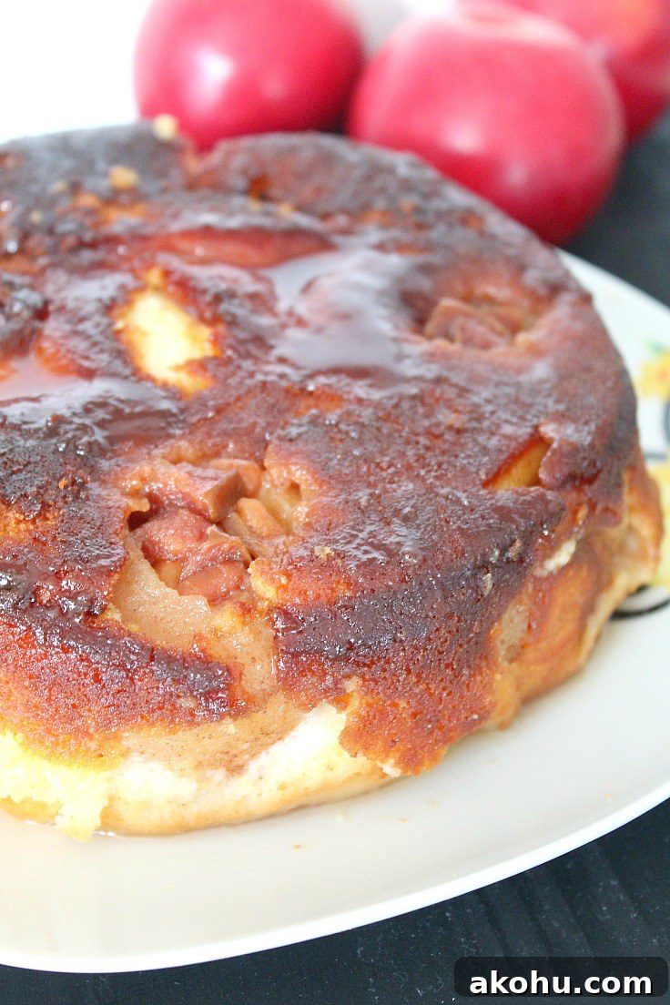 Banana Whipped Cream Dome Cake Recipe for Stunning Desserts 15 Caramelized upside down apple cake
