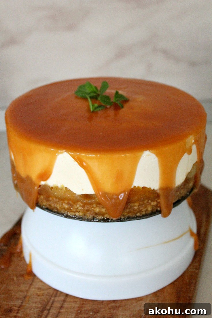 Banana Whipped Cream Dome Cake Recipe for Stunning Desserts 16 No bake cheesecake step 16