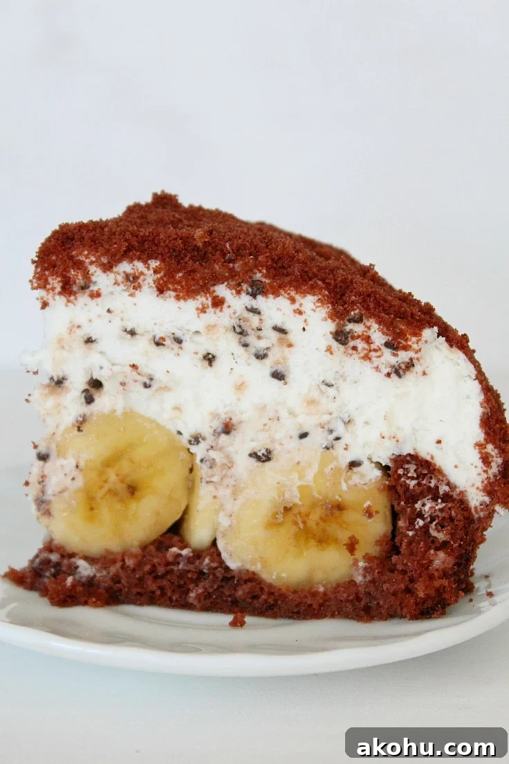 Banana Whipped Cream Dome Cake Recipe for Stunning Desserts 7 how to make a dome cake