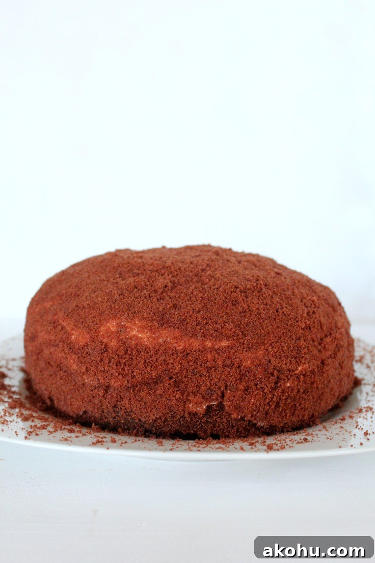 Banana Whipped Cream Dome Cake Recipe for Stunning Desserts 8 Banana Dome Cake Recipe