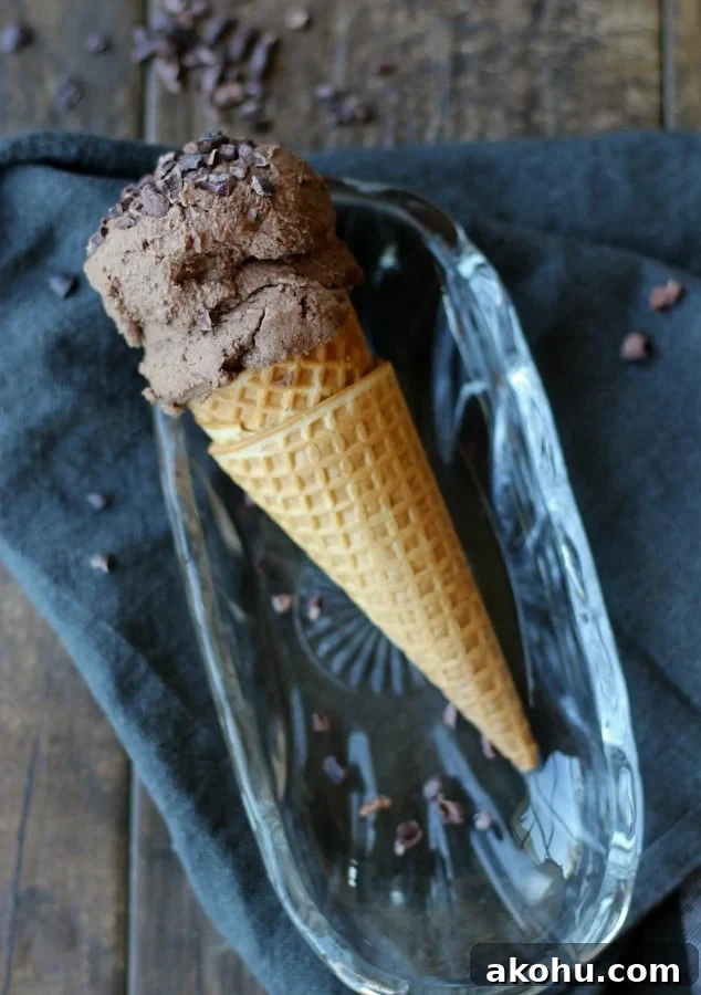 Vegan chocolate nice cream - no churn, few ingredients