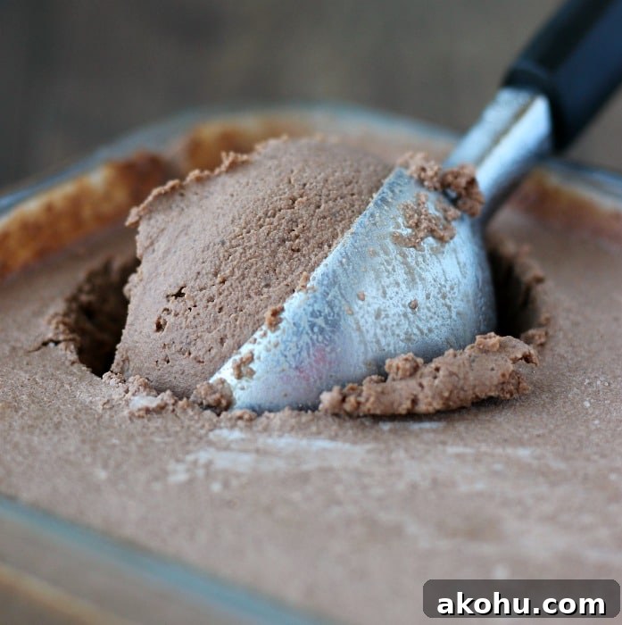 Creamy vegan chocolate nice cream