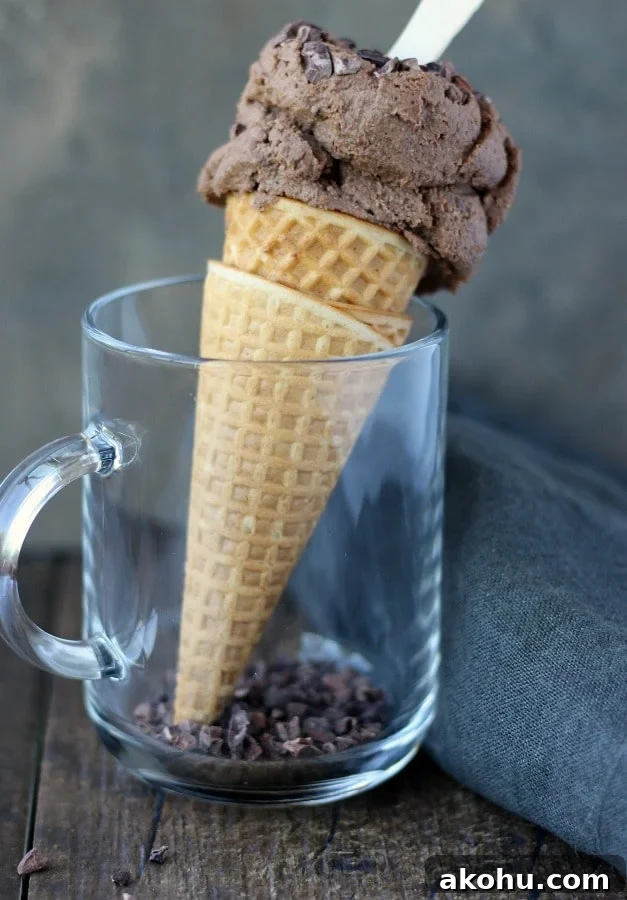 No-churn vegan chocolate ice cream