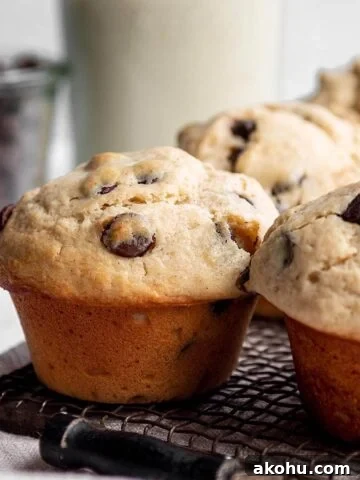 A vintage cooling rack with sourdough discard muffins.