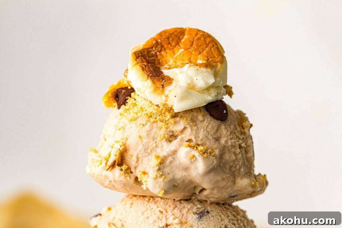 A scoop of S’mores  ice cream topped with crushed graham crackers, chocolate chips, and a toasted marshmallow.