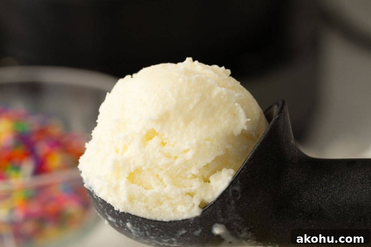 A close-up of a scoop of vanilla ice cream in a black ice cream scooper, with colorful sprinkles blurred in the background.