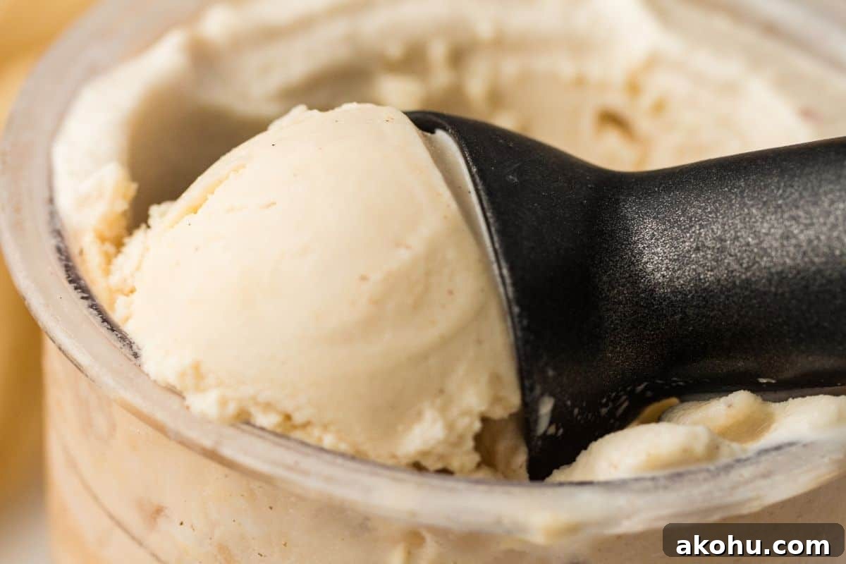 A close-up of a black ice cream scoop lifting vanilla ice cream from a container.