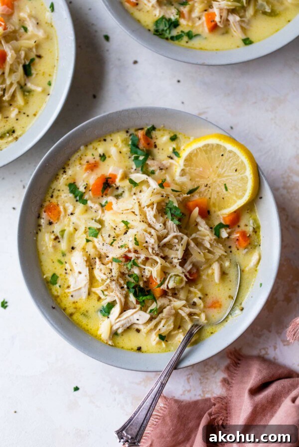a bowl of the chicken orzo soup and a spoon