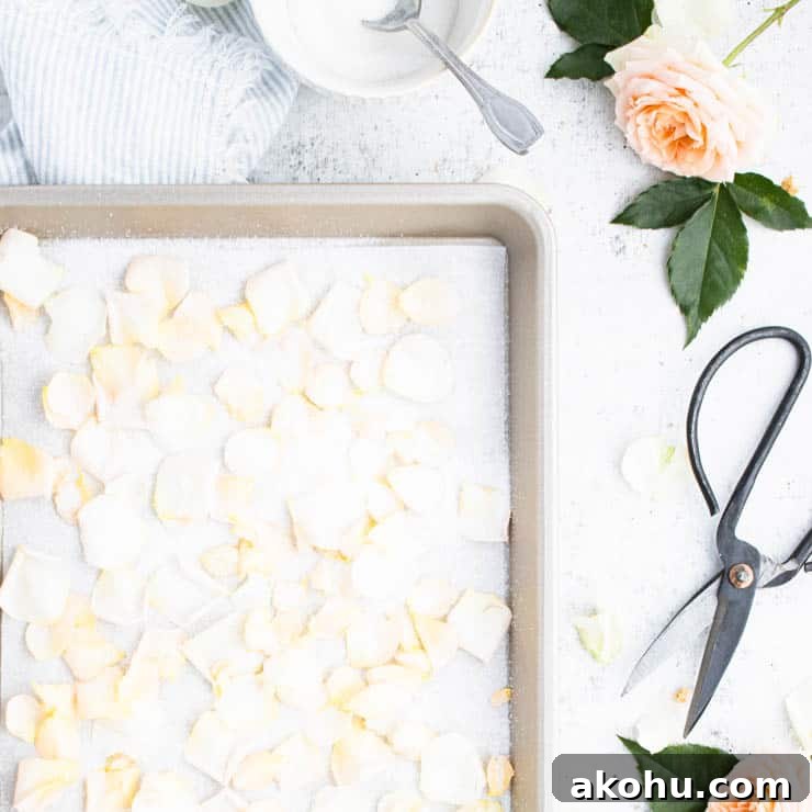 baking sheet with sugared flower petals.