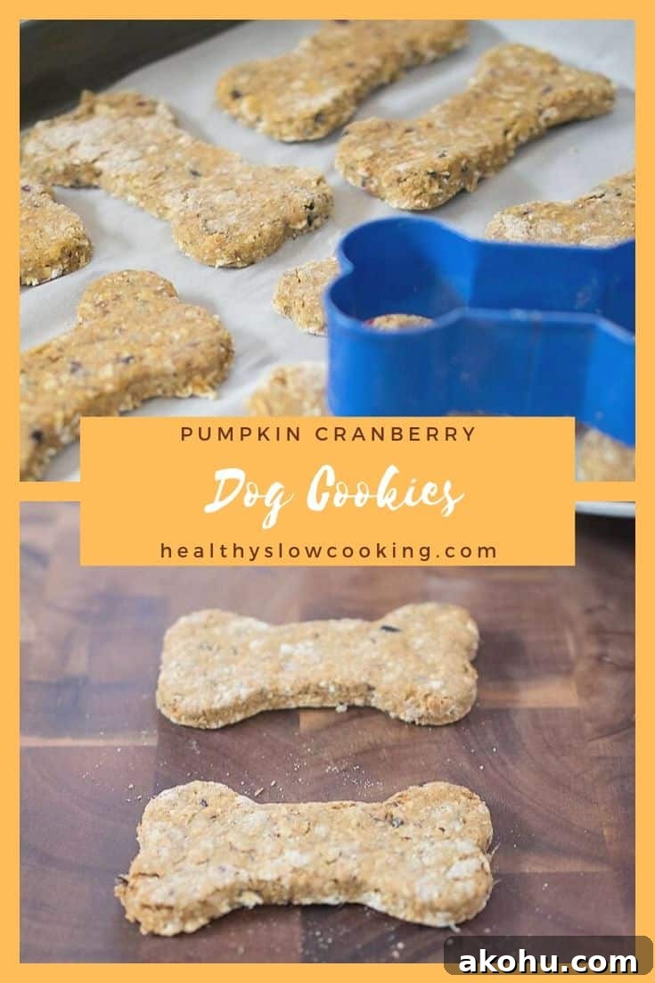 Pumpkin Cranberry Vegan Dog Cookies Recipe for Sensitive Stomachs 3 Pumpkin Cranberry