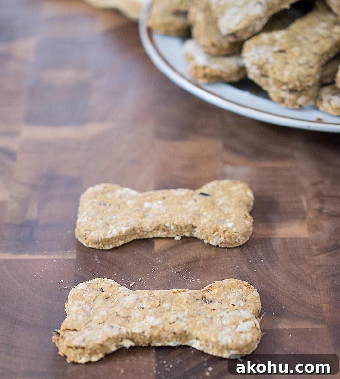 Pumpkin Cranberry Vegan Dog Cookies Recipe for Sensitive Stomachs 4 Vegan Dog Treat Recipe: Pumpkin Cranberry Dog Cookies