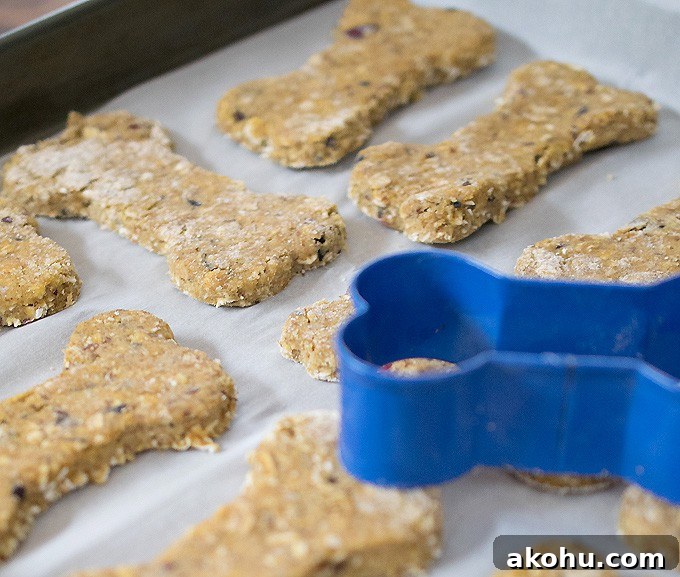 Pumpkin Cranberry Vegan Dog Cookies Recipe for Sensitive Stomachs 5 Pumpkin Cranberry Dog Cookies