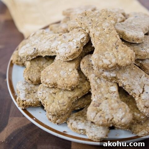Pumpkin Cranberry Dog Cookies
