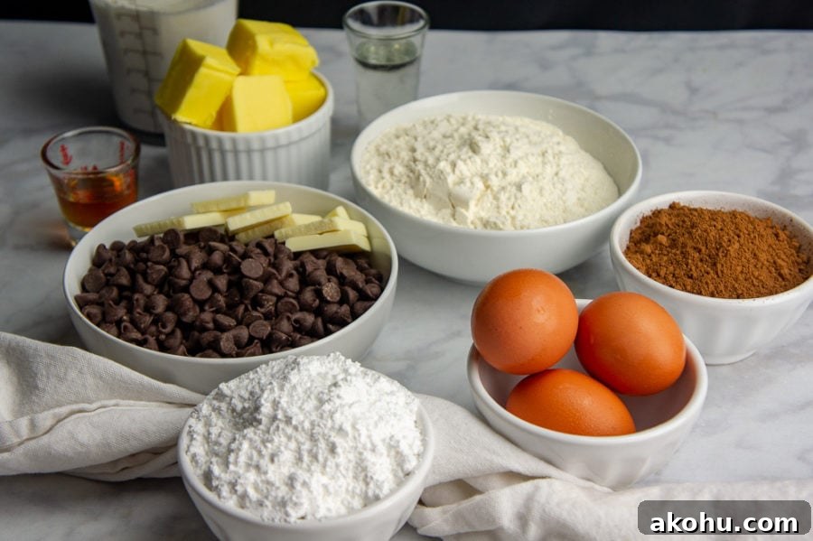 A bowl of powdered sugar, eggs, cocoa, powder, chocolate pieces, and butter