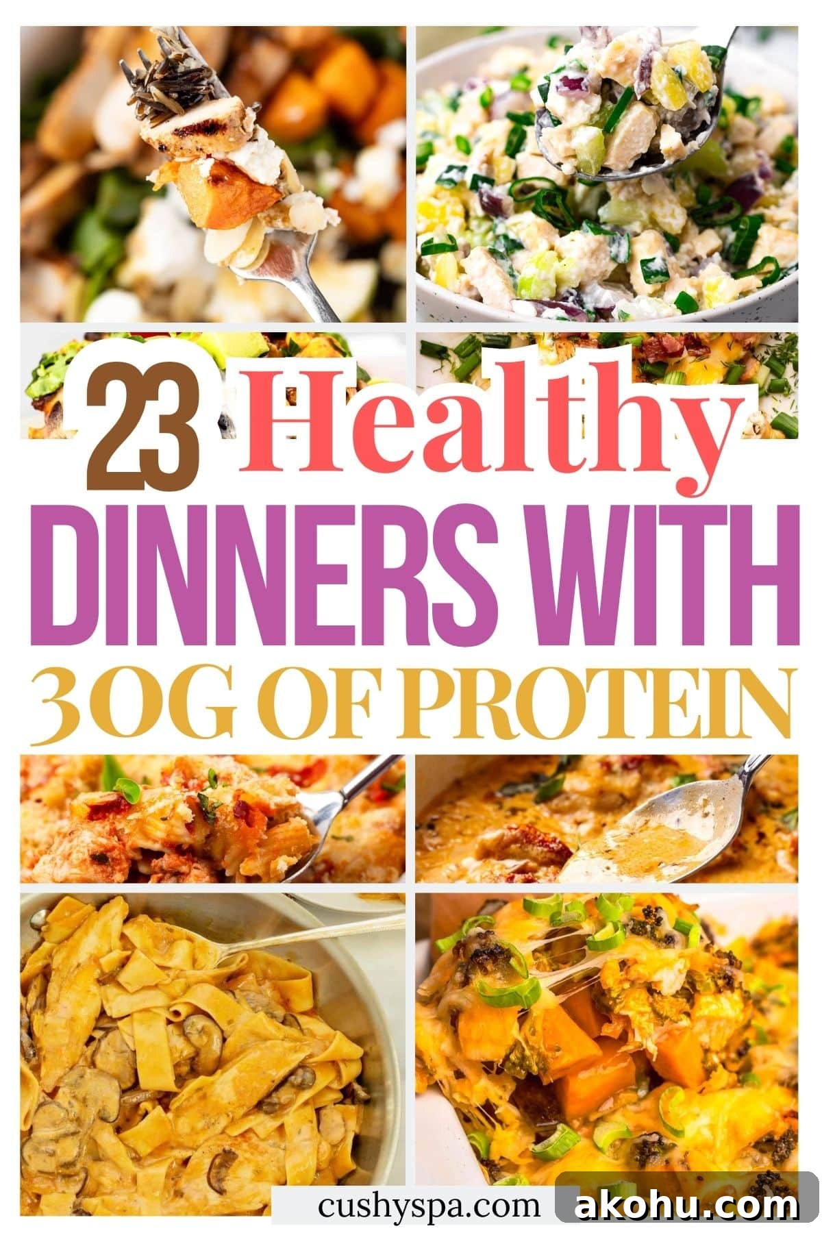 23 Dinners 30g of Protein or More