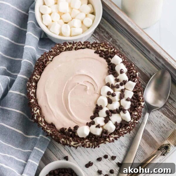 10-Minute Tiramisu Dip: Creamy Espresso Mascarpone Recipe 7 Overhead view of a sprinkle lined bowl filled with hot chocolate dip, topped with marshmallows and chocolate chips.