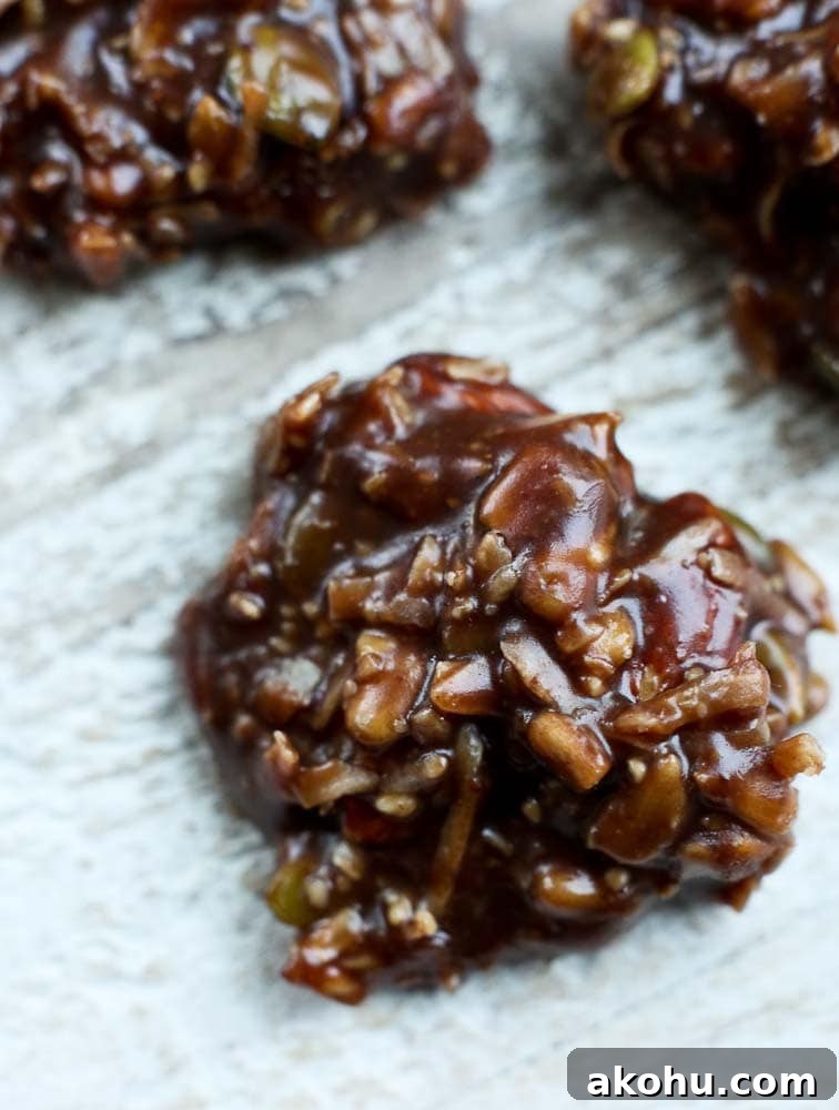 Healthy Chocolate No Bake Trail Mix Cookies