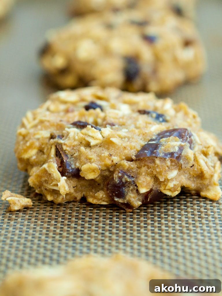 Applesauce Breakfast Cookies