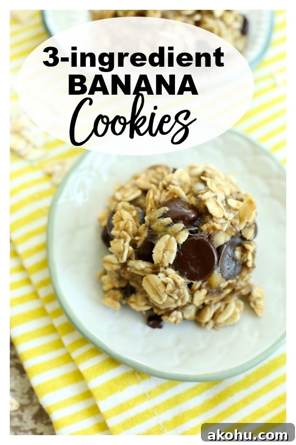 3-ingredient Banana Cookies recipe