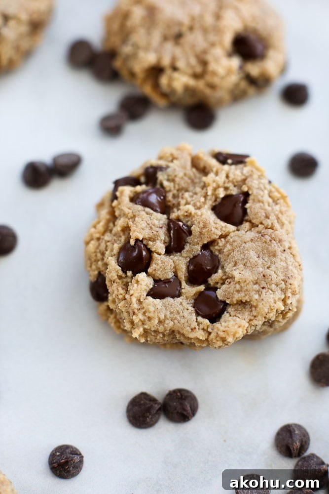 Healthy Chocolate Chip Cookies