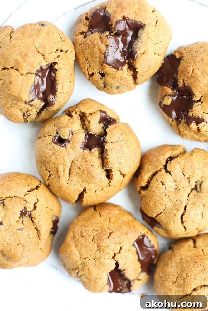 Flourless Peanut Butter Chocolate Chunk Cookies