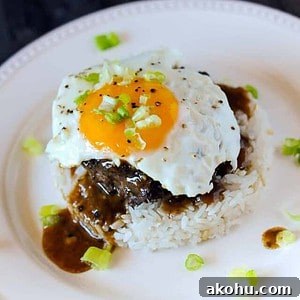 loco moco: beef patty on rice with fried egg.