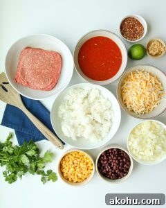 Easy Gluten-Free Dairy-Free Taco Rice Skillet made with ground beef, rice, black beans, corn, salsa, and dairy-free cheese. This simple one-pan dinner is family-friendly, budget-friendly, and perfect for busy weeknights. A hearty gluten-free dairy-free meal that reheats well for leftovers too.