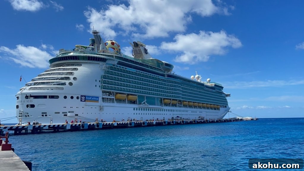 Cruise Ship