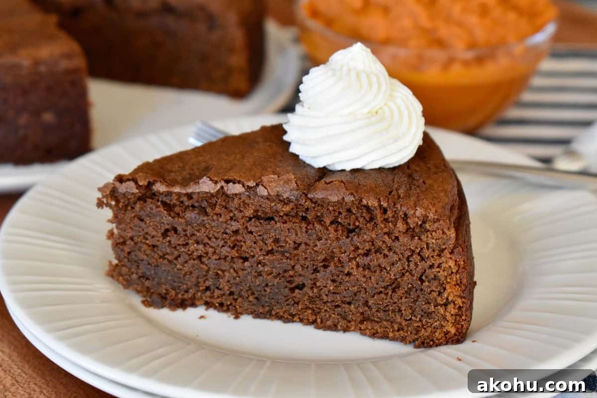 Moist Chocolate Pumpkin Cake Recipe – Simple Fall Dessert 3 Slice of chocolate pumpkin cake on a white plate.
