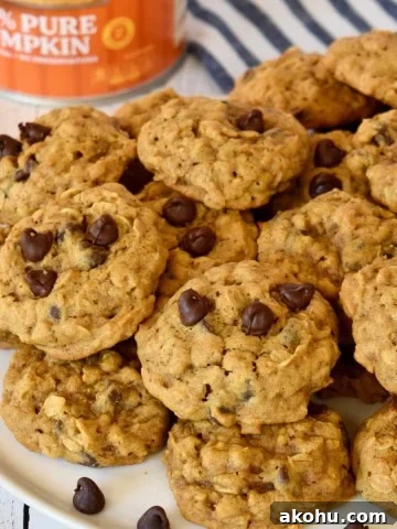 Pumpkin oatmeal chocolate chip cookies recipe.