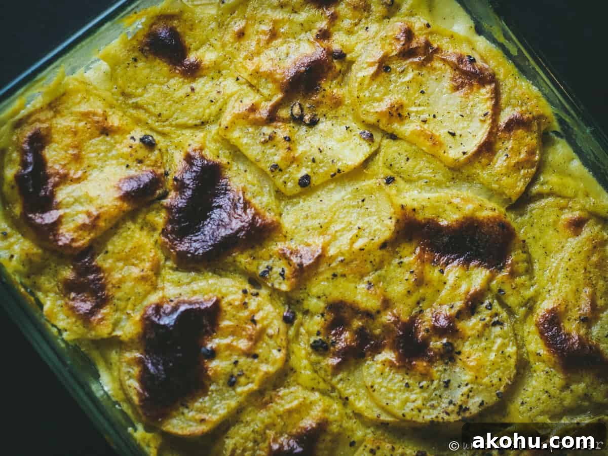 plant-based scalloped potatoes (grain-free)
