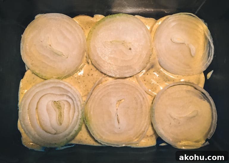 onions layer