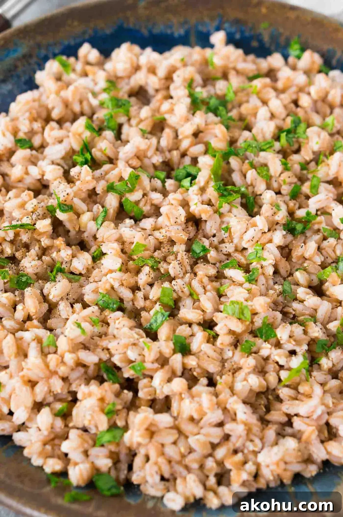 close up image of cooked farro on a plate