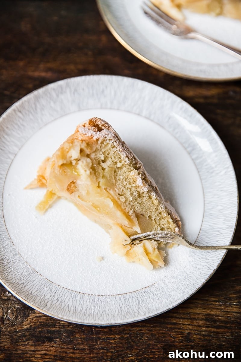 Apple Cake Sharlotka slice on white plate