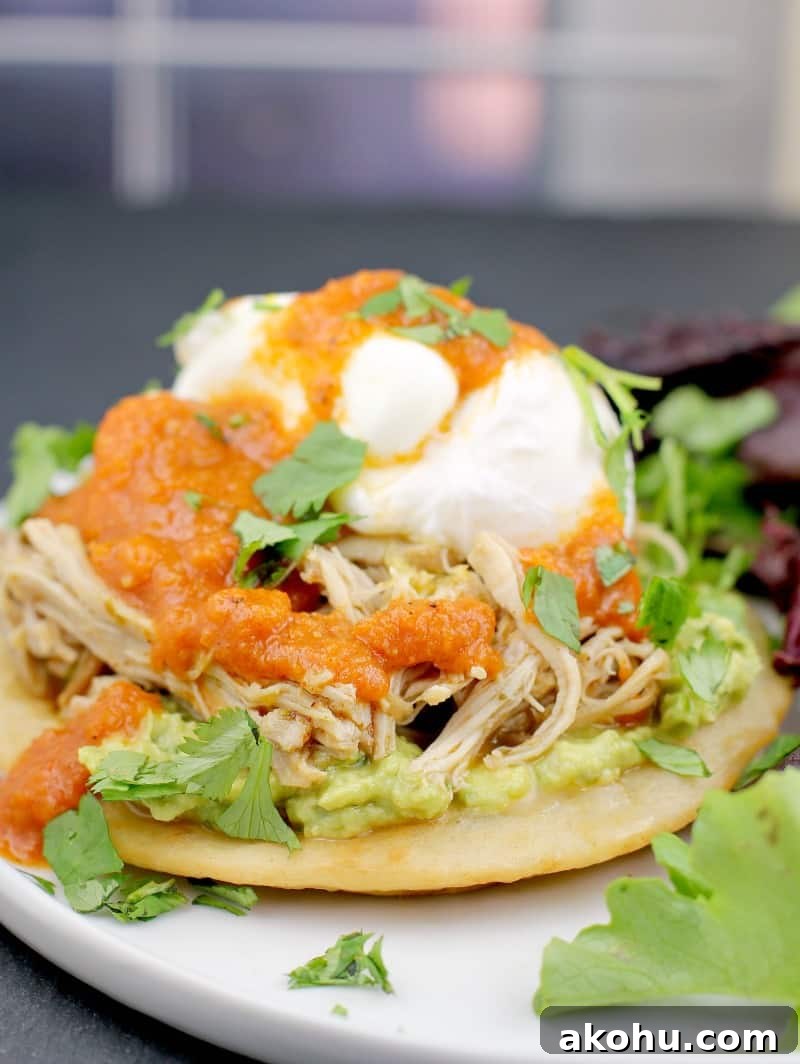 assembled recipe showing a tortilla, guacamole, chicken, egg, and ranchero sauce