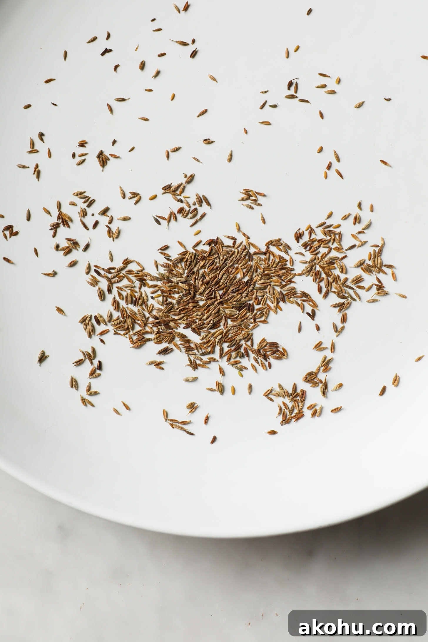 Toasted cumin seeds in a white skillet