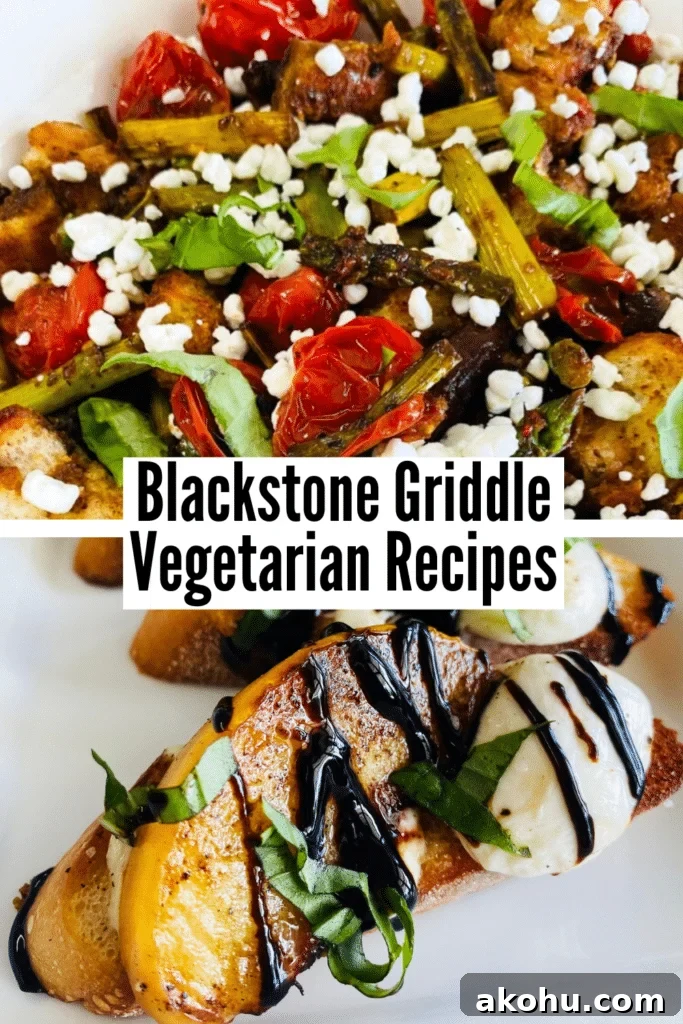 Blackstone Griddle Vegetarian Recipes